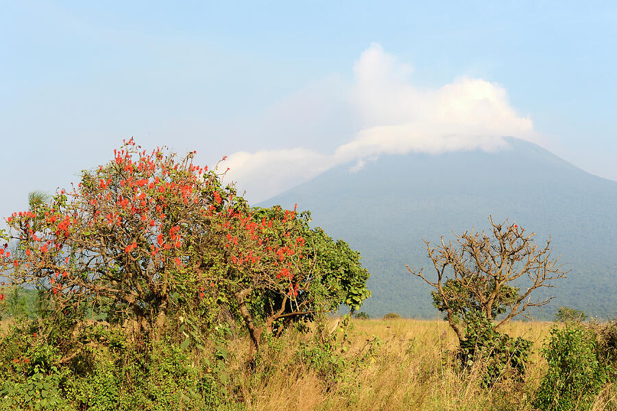 Mount Nyiragongo Smoking - One Of Several Active Volcanoes Photograph ...