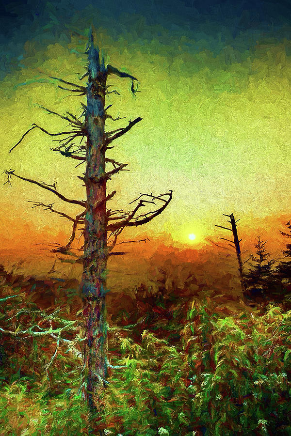 Mount Pisgah Sunset ap Painting by Dan Carmichael