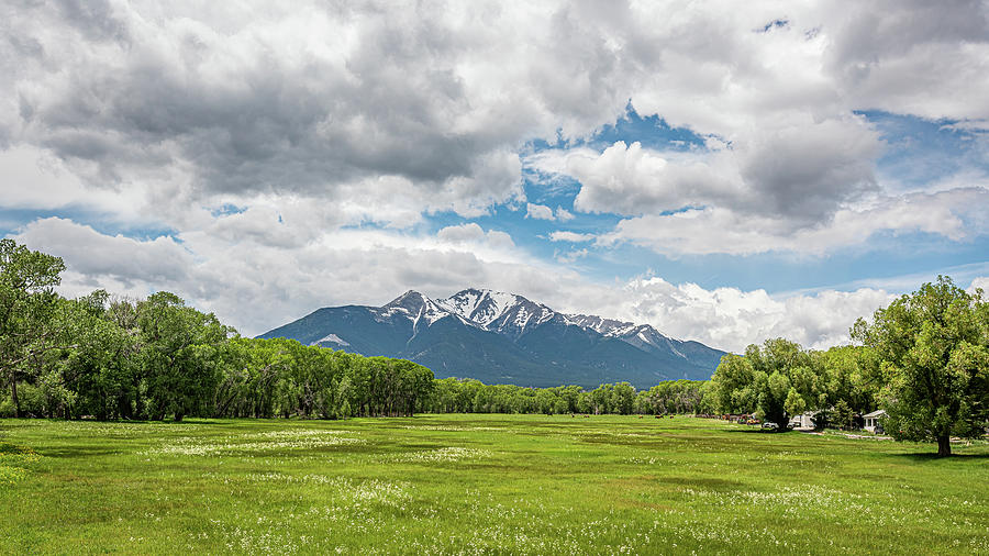 Mount Princeton in the Collegiate Peaks Photograph by Brenda Jacobs