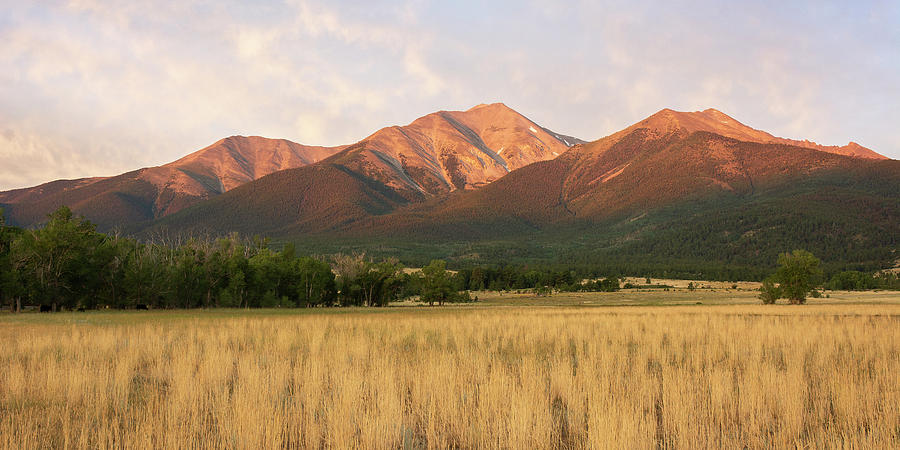 Mount Princeton - Summer Photograph by Aaron Spong