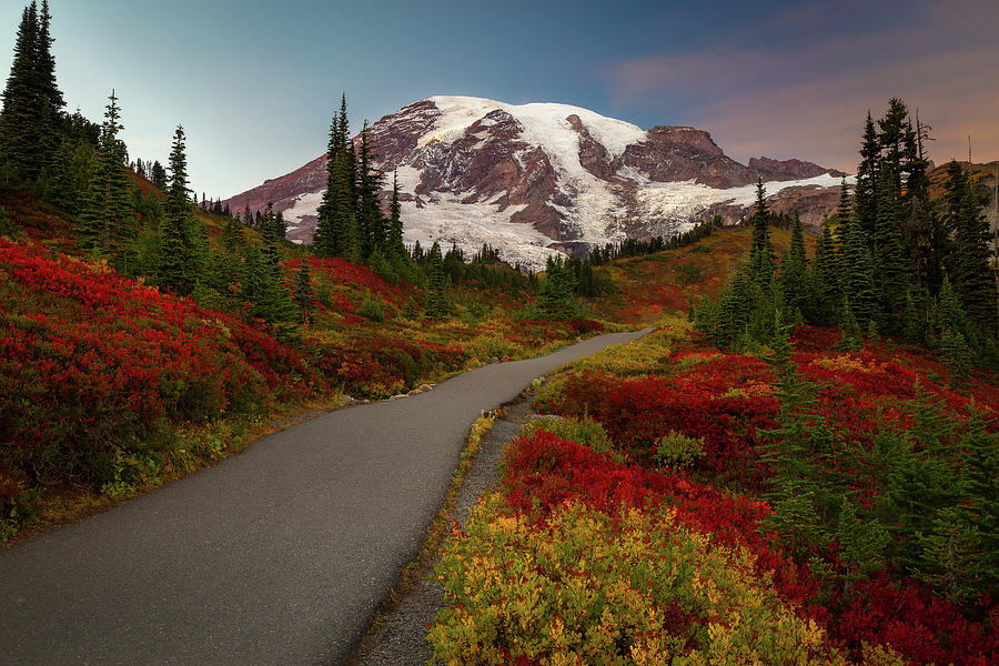 Photographing Fall Foliage in Mount Rainier National Park