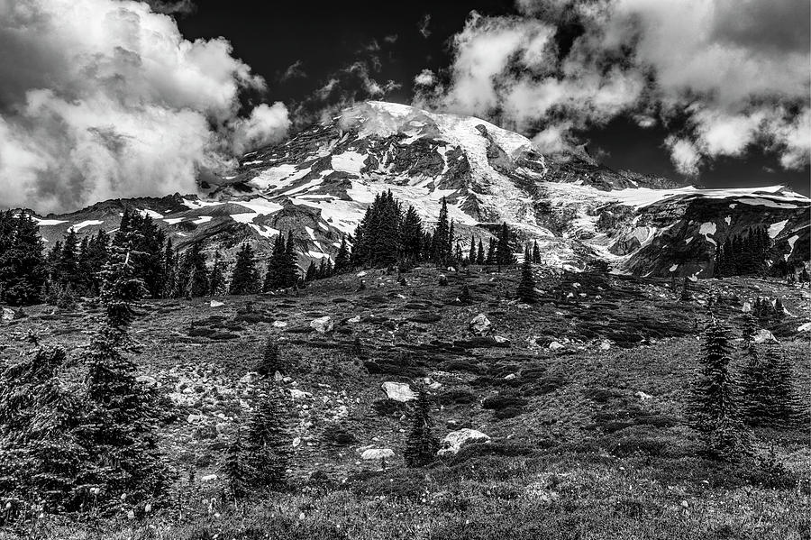 Mount Rainier Panorama Point Black and White  Photograph by Mark Kiver