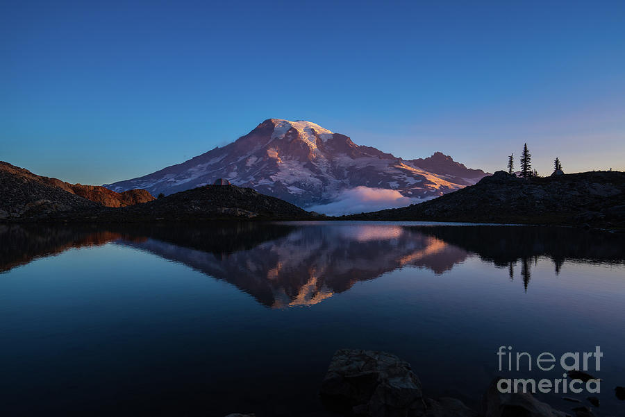 Mount Rainier Photography Cool Reflection Photograph