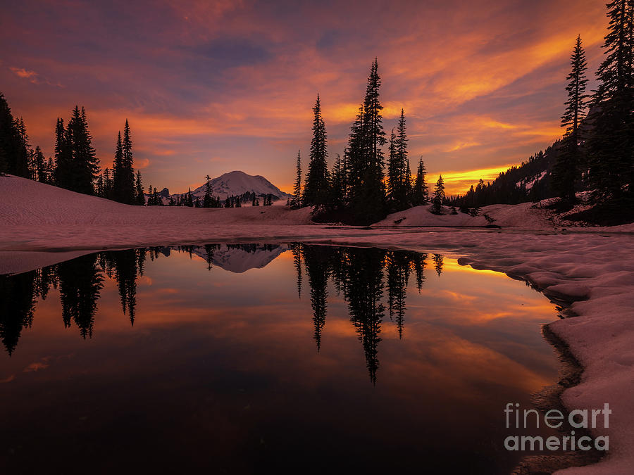 Mount Rainier National Park Photograph - Mount Rainier Photography Tipsoo Golden Sunset Reflection by Mike Reid