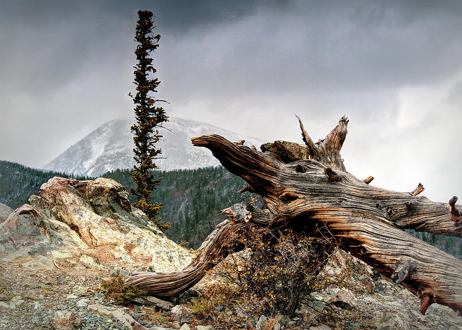 Mountain Photograph - Mount Royal by Jim Hill