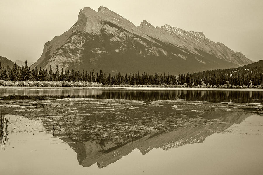 Mount Rundle Banff National Park Photograph by Tim Fitzharris