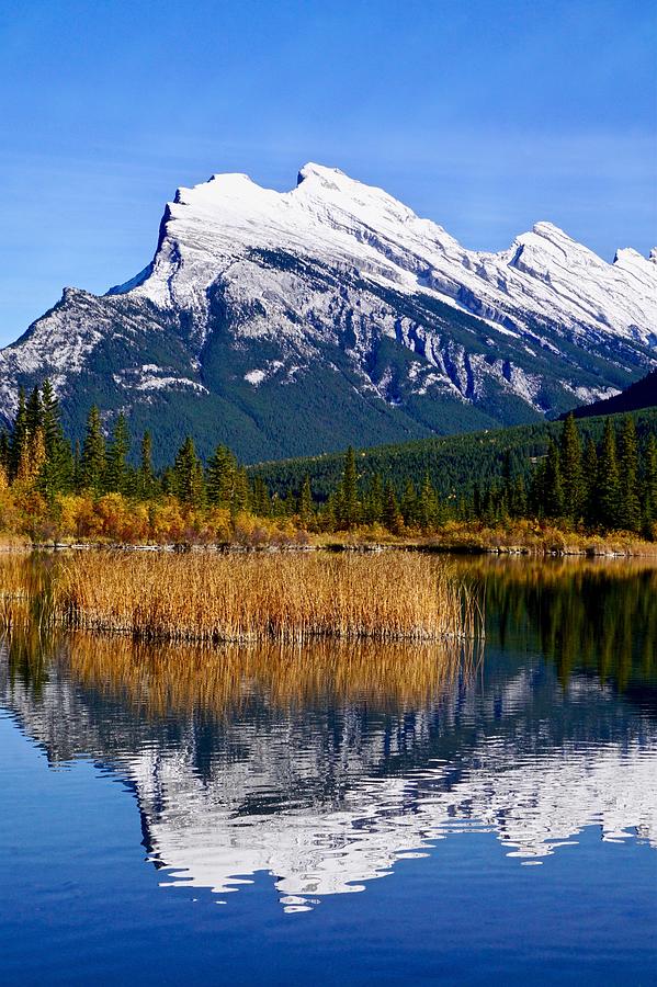 Mount Rundle Reflections Photograph by Kim Grosz - Fine Art America