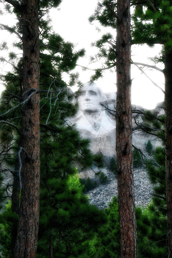 Mount Rushmore National Memorial Washington Vertical Photograph by Thomas Woolworth