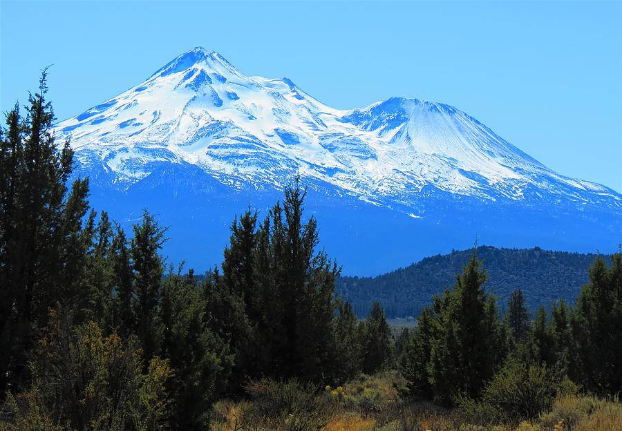 Mount Shasta Photograph by Connor Ehlers - Fine Art America