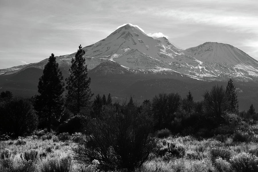Mount Shasta Photograph by Frank Wilson