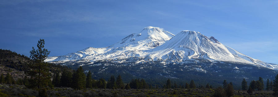 Mount Shasta in Winter Photograph by Frank Wilson