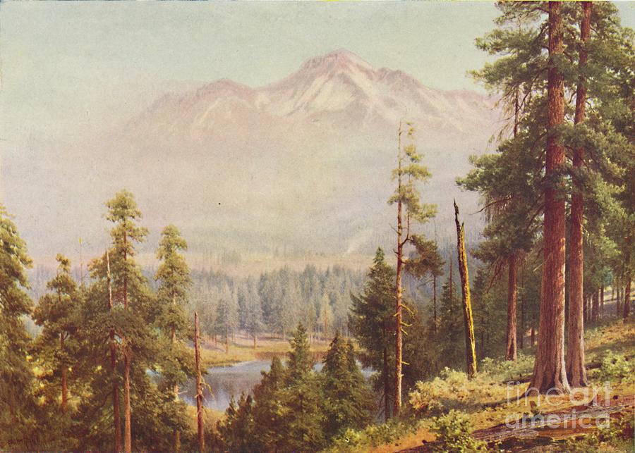 Mount Shasta Drawing by Print Collector