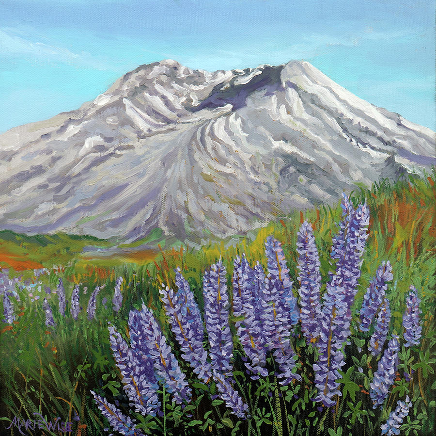 Mount St. Helens And Lupines Study Painting by Marie Wise