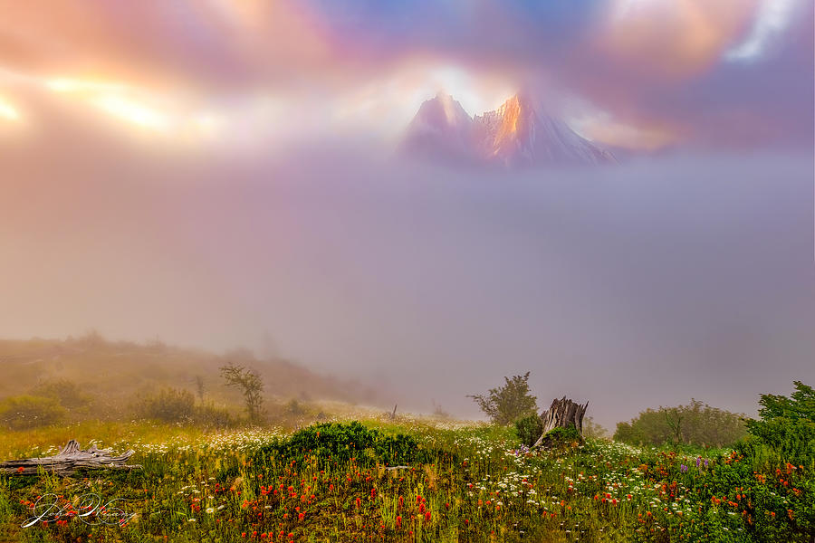 Mount St Helens Morning Mist Photograph by John R Huang