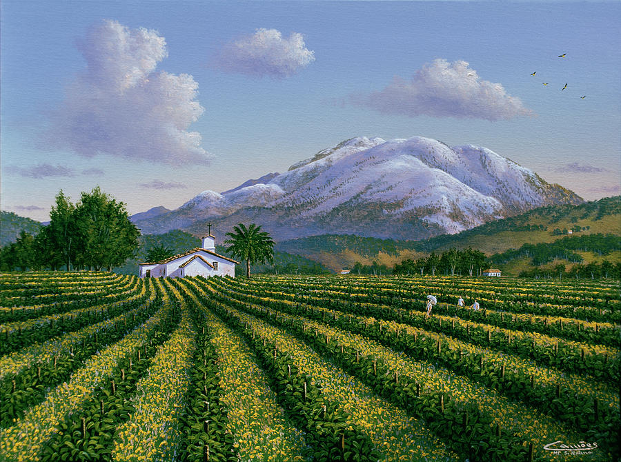 Mount Sta Helena - Napa Valley Painting by Eduardo Camoes