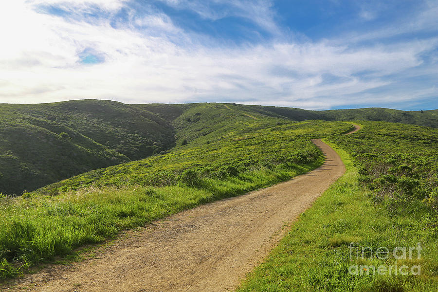 California Photograph - Mount Tamalpais Scenic Trail by Eddie Hernandez California Photograph - Mount Tamalpais Scenic Trail by Eddie Hernandez