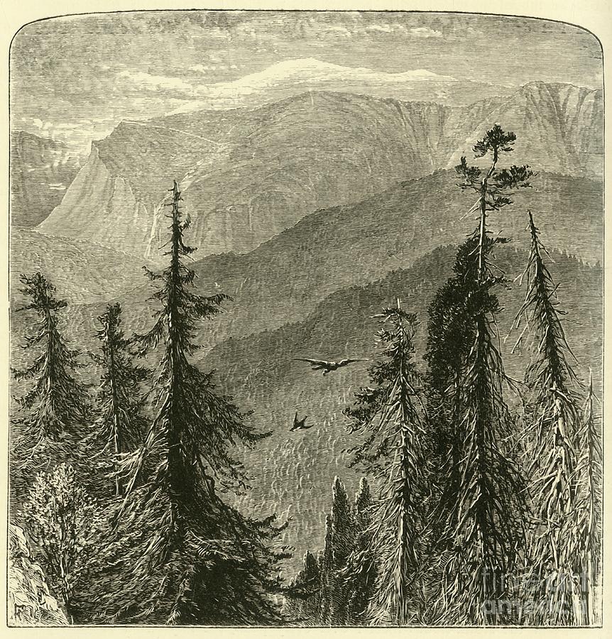 Mount Washington Drawing by Print Collector