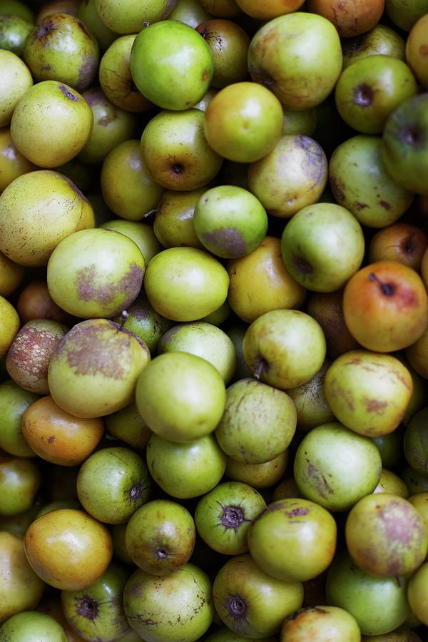 Mountain Apples Photograph by Ulf Svane - Fine Art America