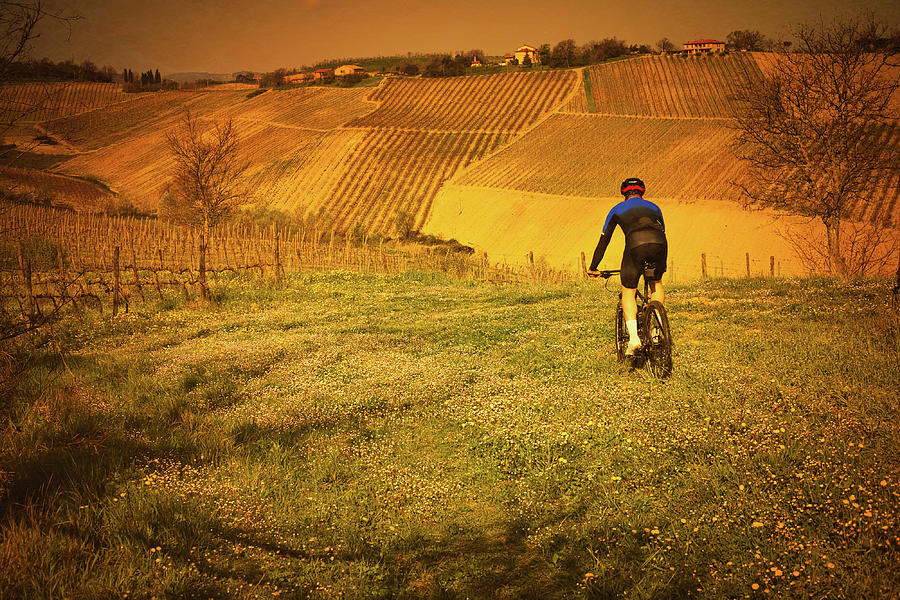 Mountain biker on rural field Photograph by Vivida Photo PC