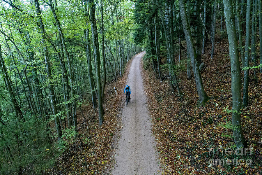 Mountain Biking In A Forest In Switzerland Photograph by Michael Szoenyi/science Photo Library