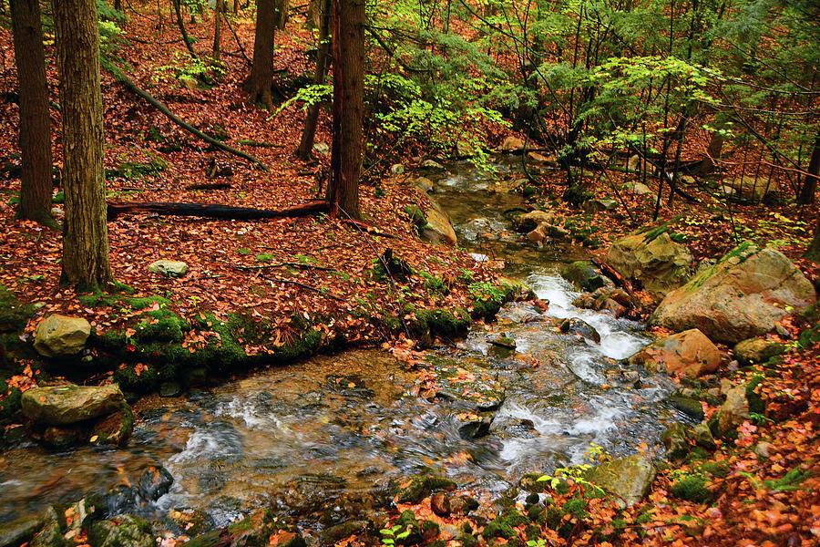 Mountain Creek in MA Photograph by Raymond Salani III