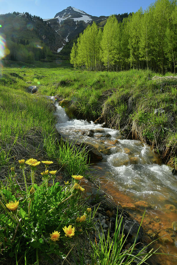 Mountain Creek near Red Mountain Pass Photograph by Ray Mathis
