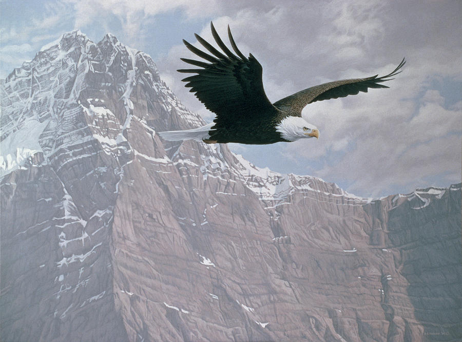Mountain Flight Painting by Ron Parker