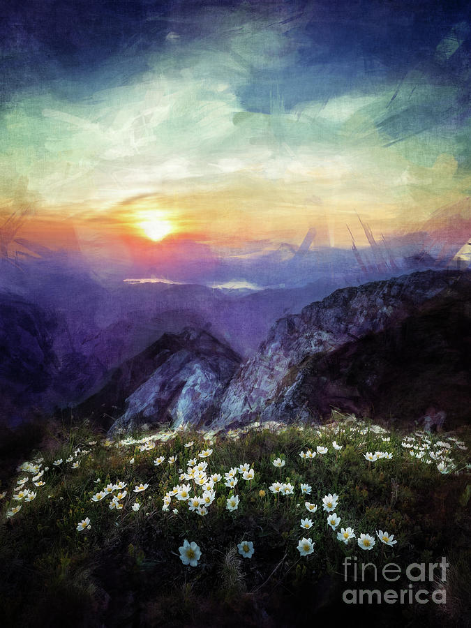 Mountain Flowers At Sunset Digital Art by Phil Perkins
