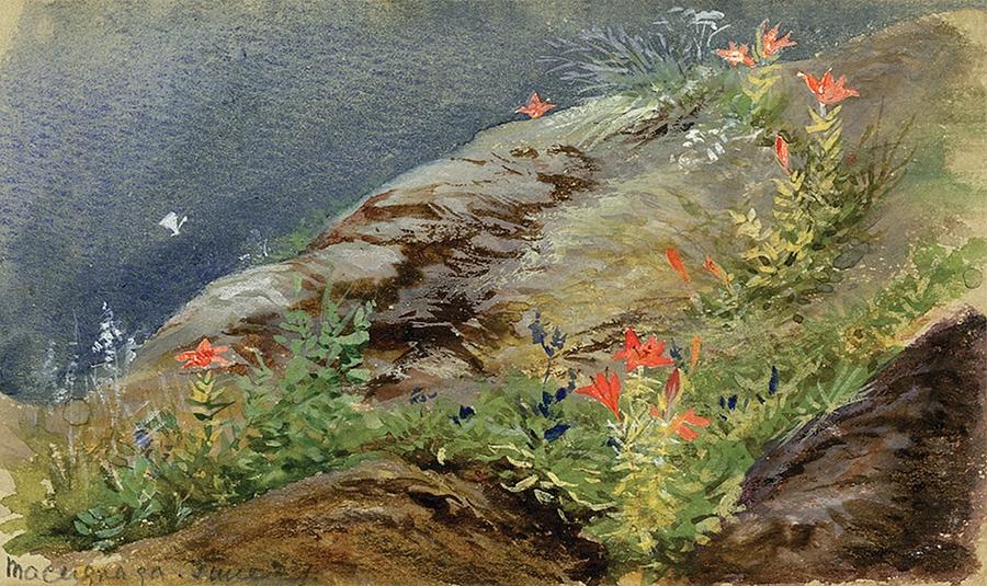 Mountain Flowers Painting by Lilias Trotter
