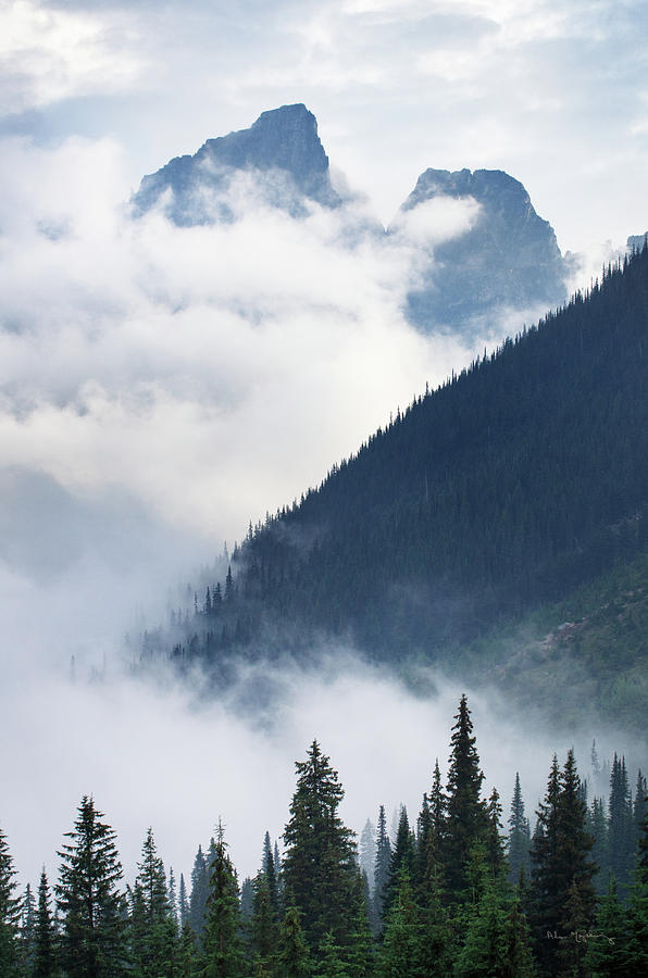 Mountain Photograph - Mountain Fog by Alan Majchrowicz