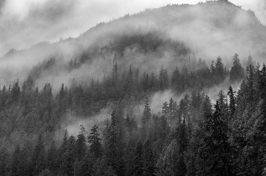 Mountain Fog in Black and White By Kathryn Photograph by Photography By ...