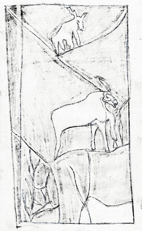 Mountain Goats Drawing by Edgeworth Johnstone