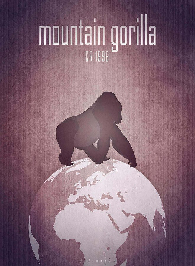 Mountain gorilla Digital Art by Moira Risen