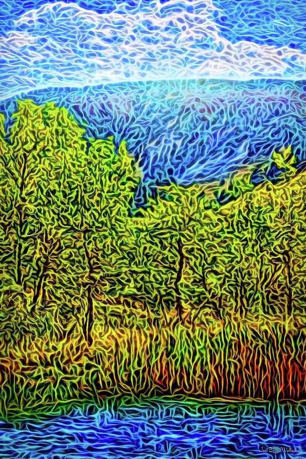 Mountain Lake Trees Digital Art by Joel Bruce Wallach