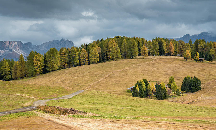 Mountain Landscape at valley of Alpe di siusi in the  Dolomites  Photograph by Michalakis Ppalis