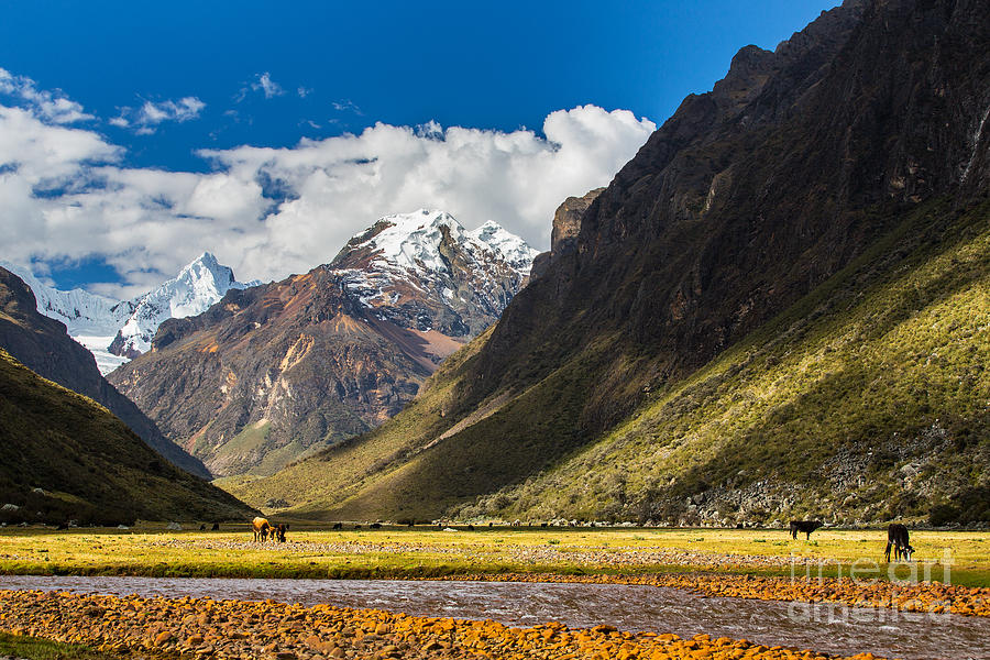 Altitude Photograph - Mountain Landscape In The Andes Peru by Calin Tatu