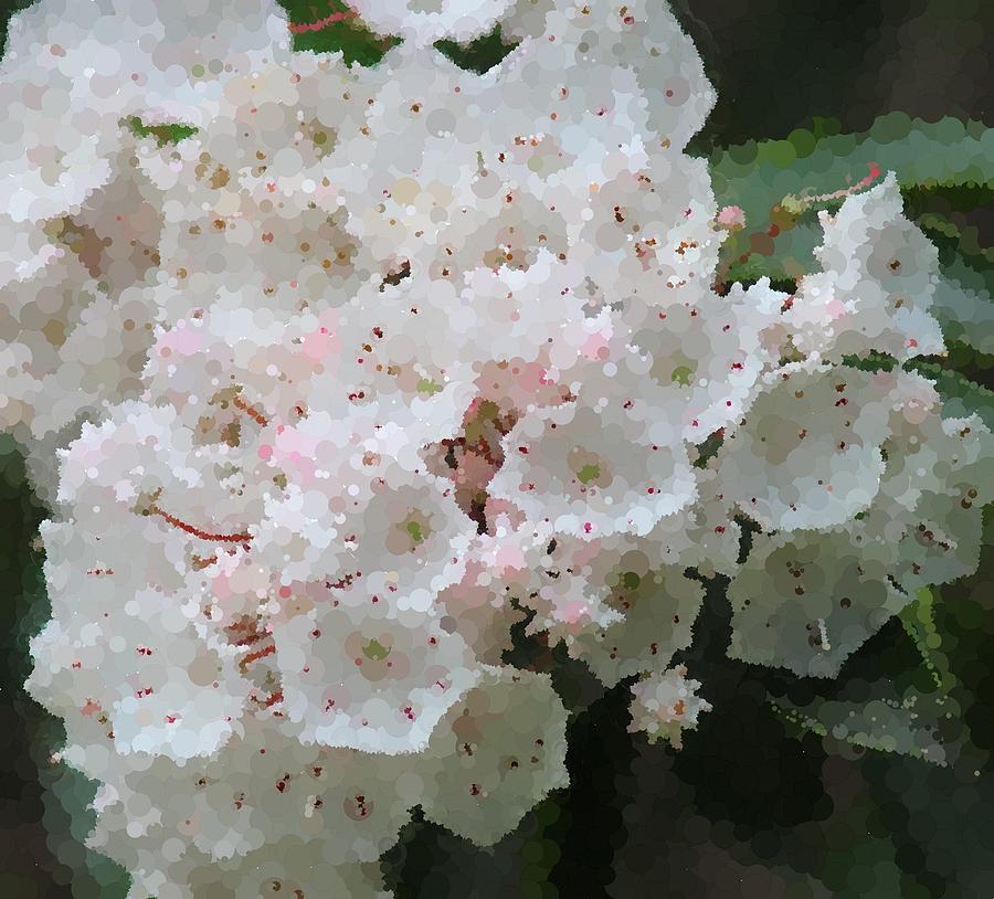 Flower Photograph - Mountain Laurel 2018e by Cathy Lindsey