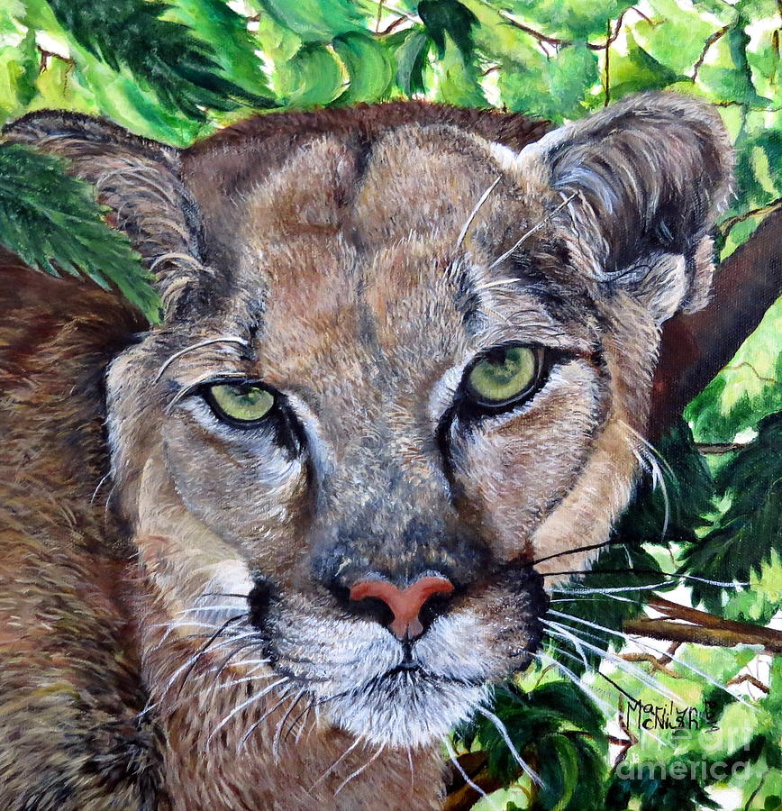 Mountain Lion Portrait Painting by Marilyn McNish
