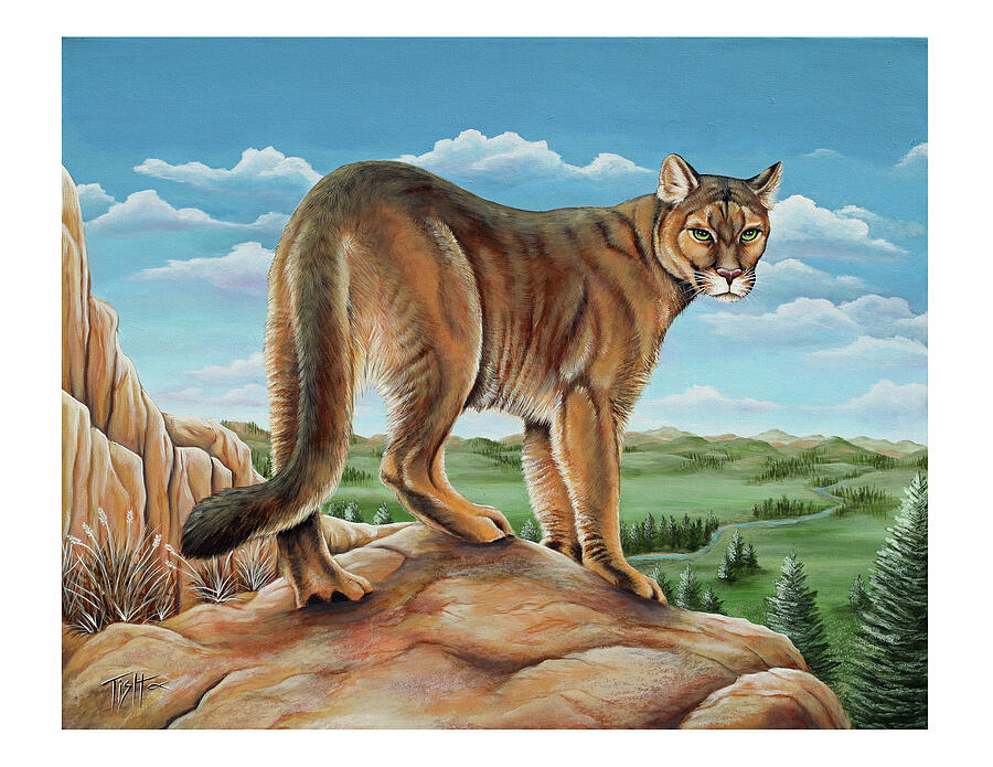 Mountain Lion Painting by Tish Wynne