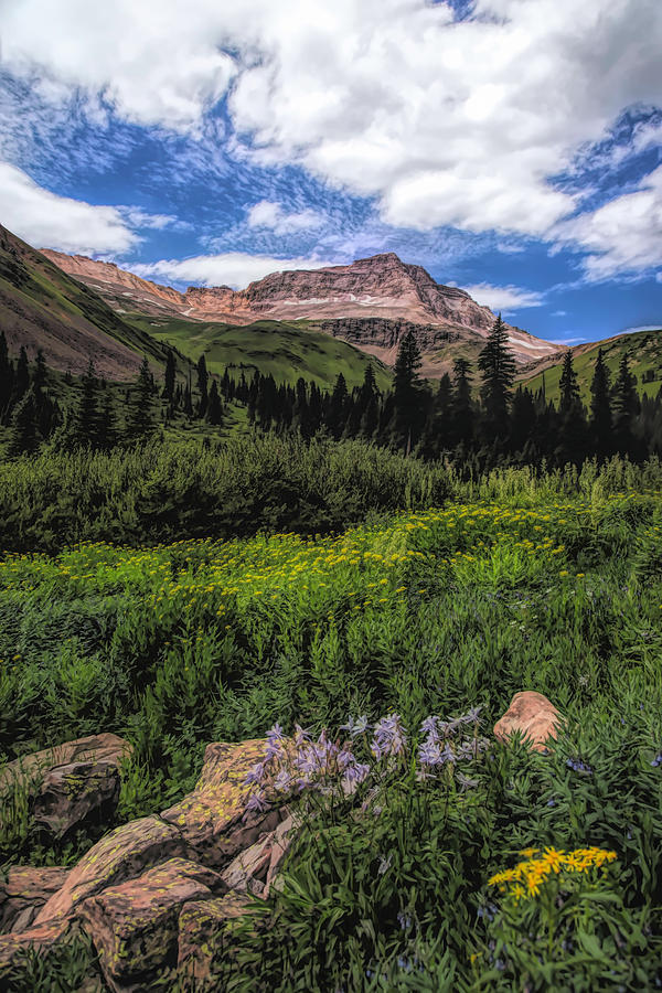 Mountain Meadow Photograph by Kristal Kraft