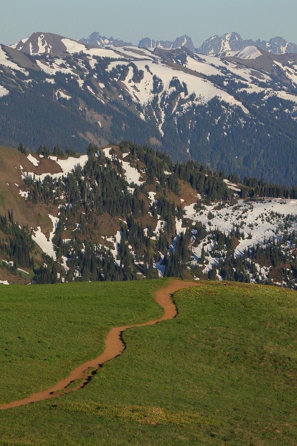 Mountain Meadow Trail With Snow Covered Photograph by Guy Crittenden