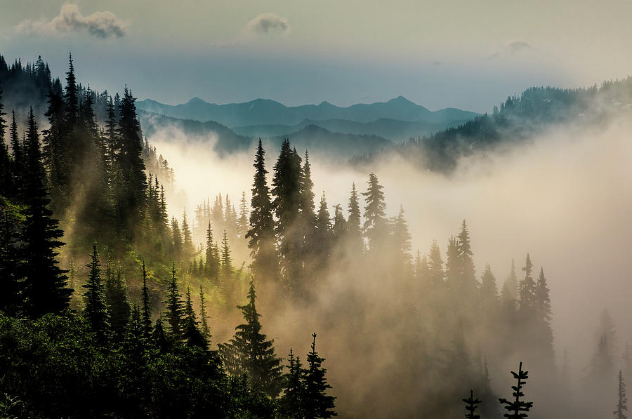 Mountain Mist Photograph by Bill Hinton Photography