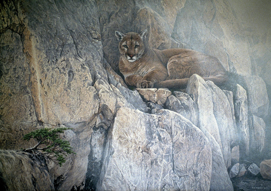 Mountain Mists - Cougar Painting by Ron Parker