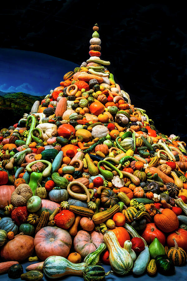 Mountain Of Gourds Photograph by Garry Gay