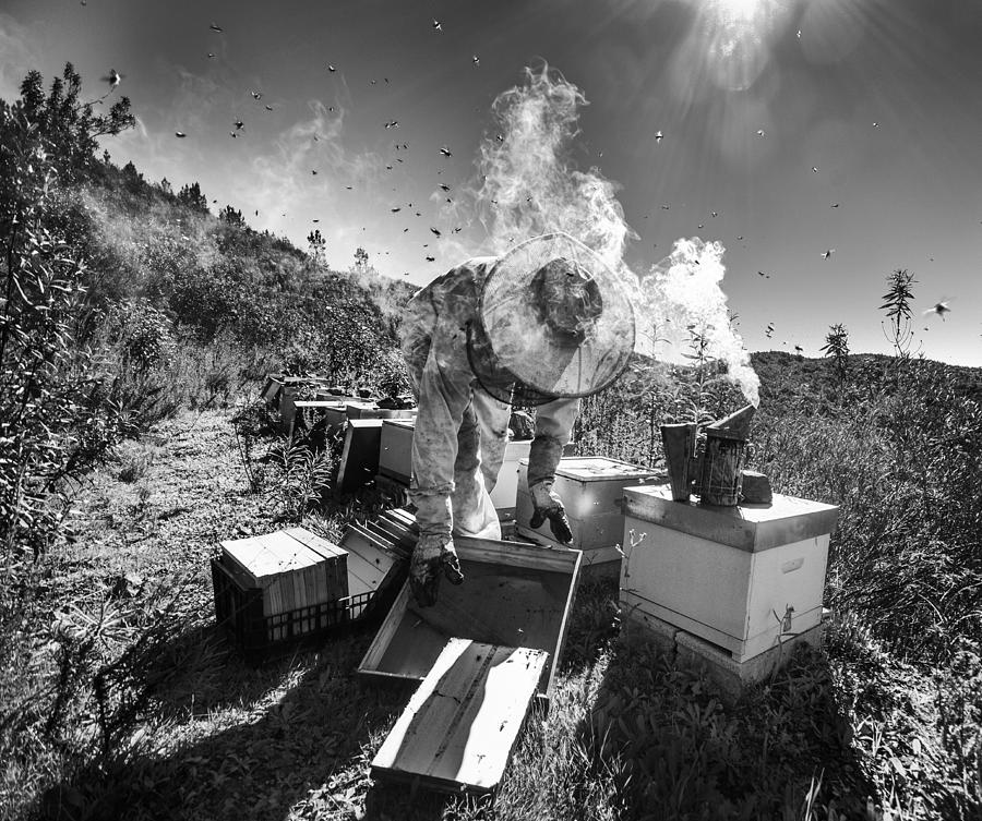 Mountain Of Honey Photograph by Agostinho Teixeira