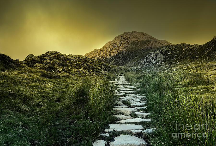Mountain Path Photograph by David Lichtneker