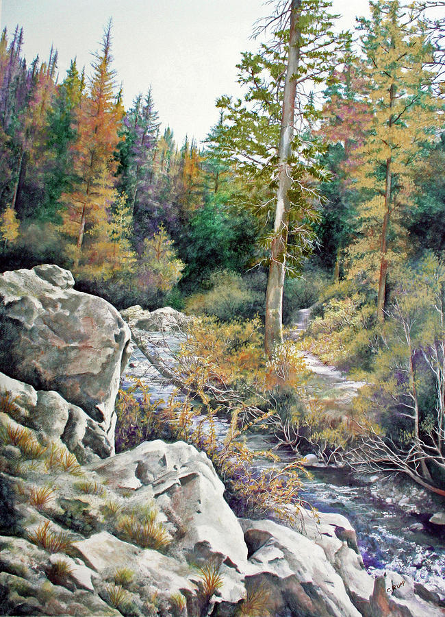 Tree Painting - Mountain Rapids by Carol J Rupp