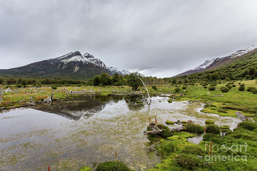 Mountain Reflected In A Pond Photograph by I. Noyan Yilmaz/science Photo Library