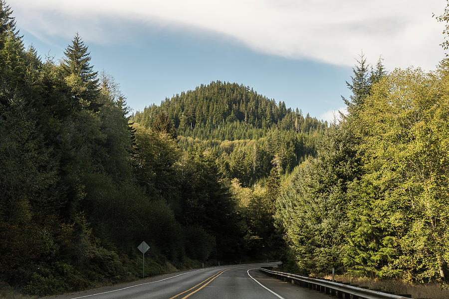 Mountain Road Surrounded By Leafy Green Trees In Astoria, Oregon, Usa. Photograph