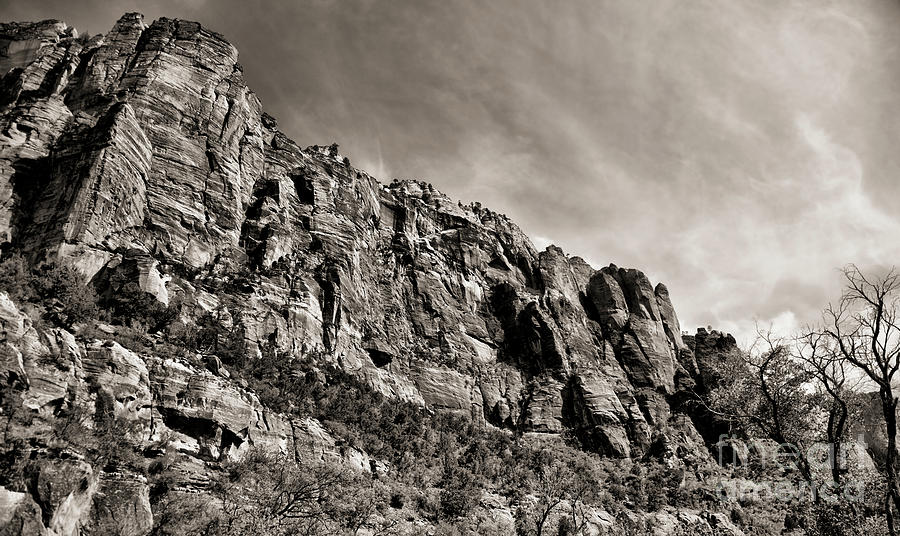 Mountain Sepia Zion National Park  Photograph by Chuck Kuhn